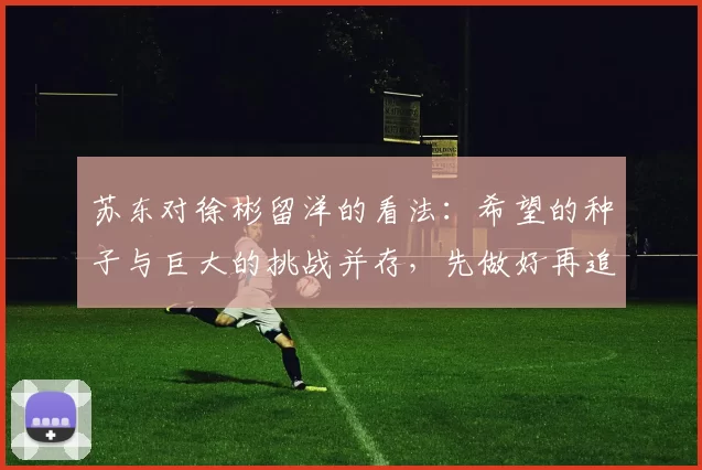 苏东对徐彬留洋的看法：希望的种子与巨大的挑战并存，先做好再追求完美